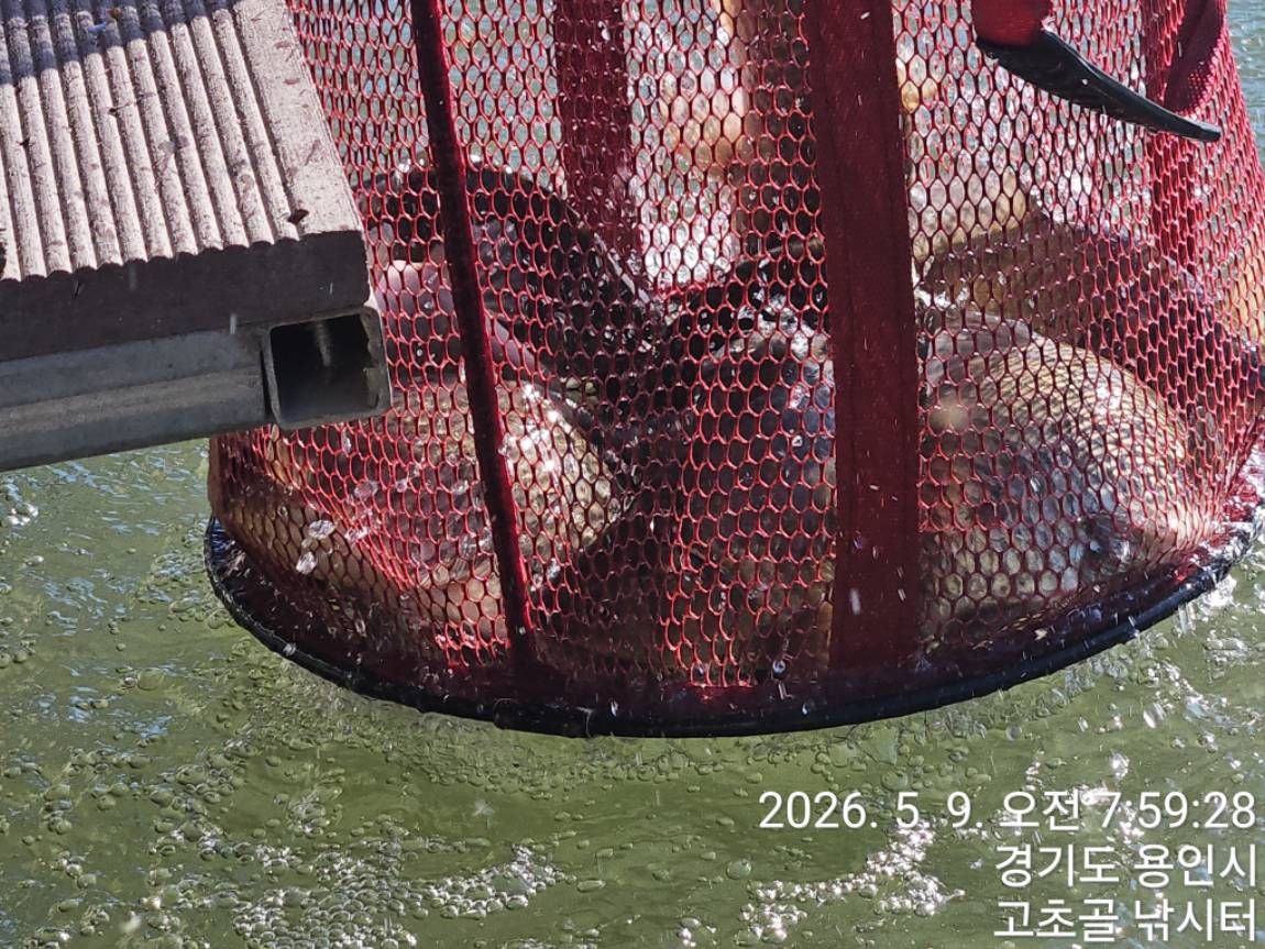 1778372399844.jpg
