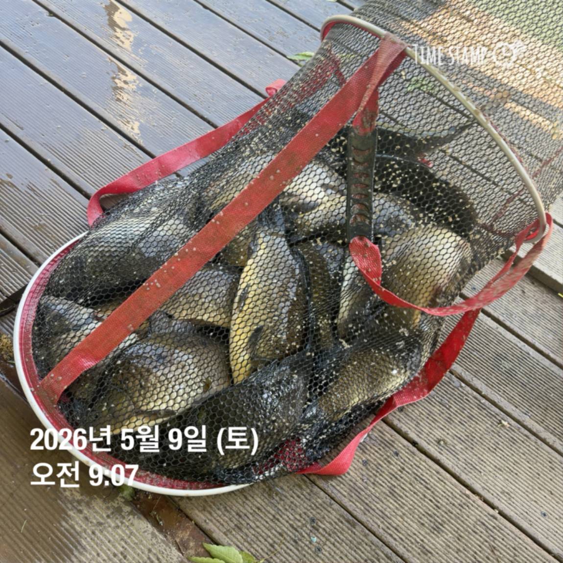 KakaoTalk_20260511_081626449_01.jpg