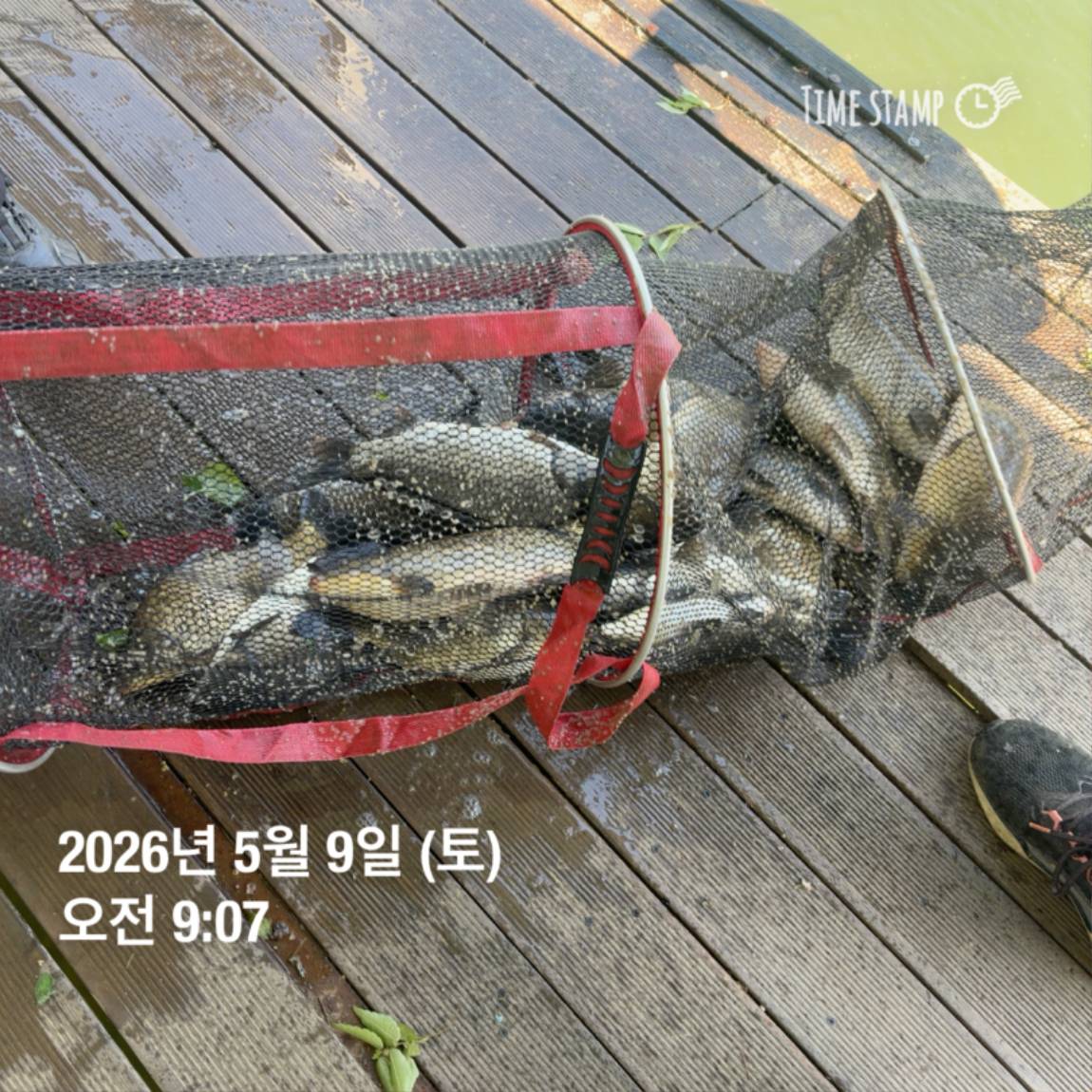 KakaoTalk_20260511_081626449_02.jpg