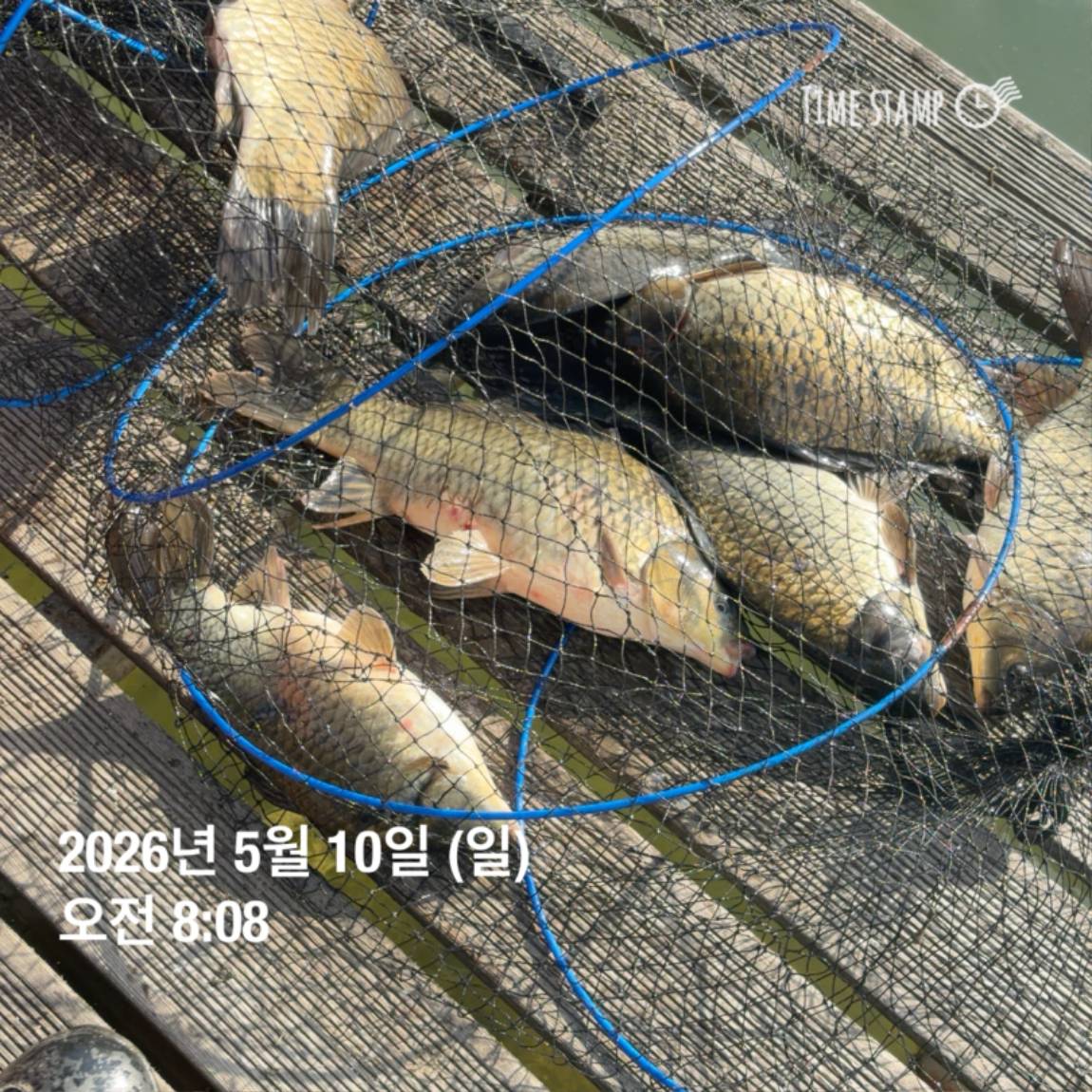 KakaoTalk_20260511_081626449_07.jpg