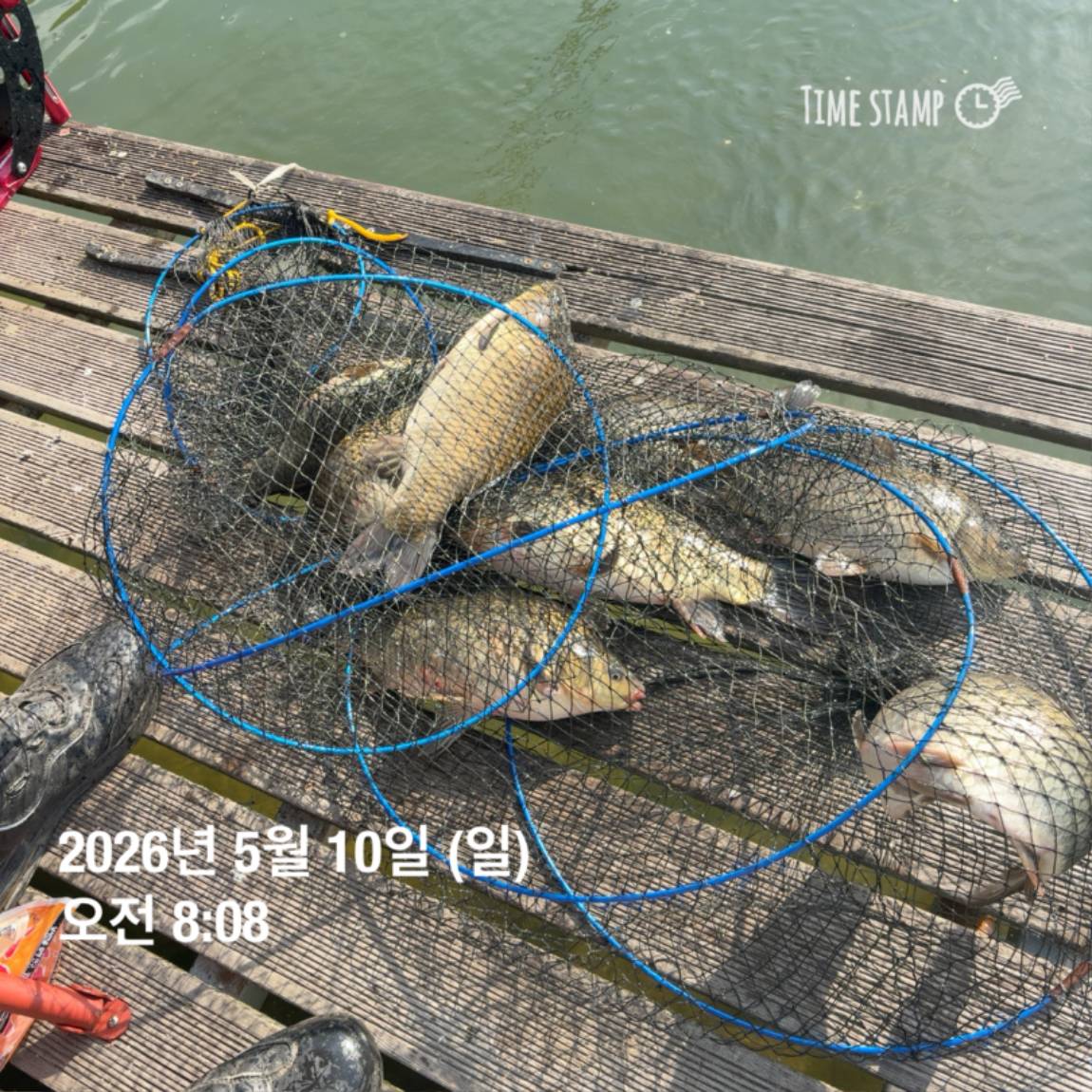 KakaoTalk_20260511_081626449_09.jpg