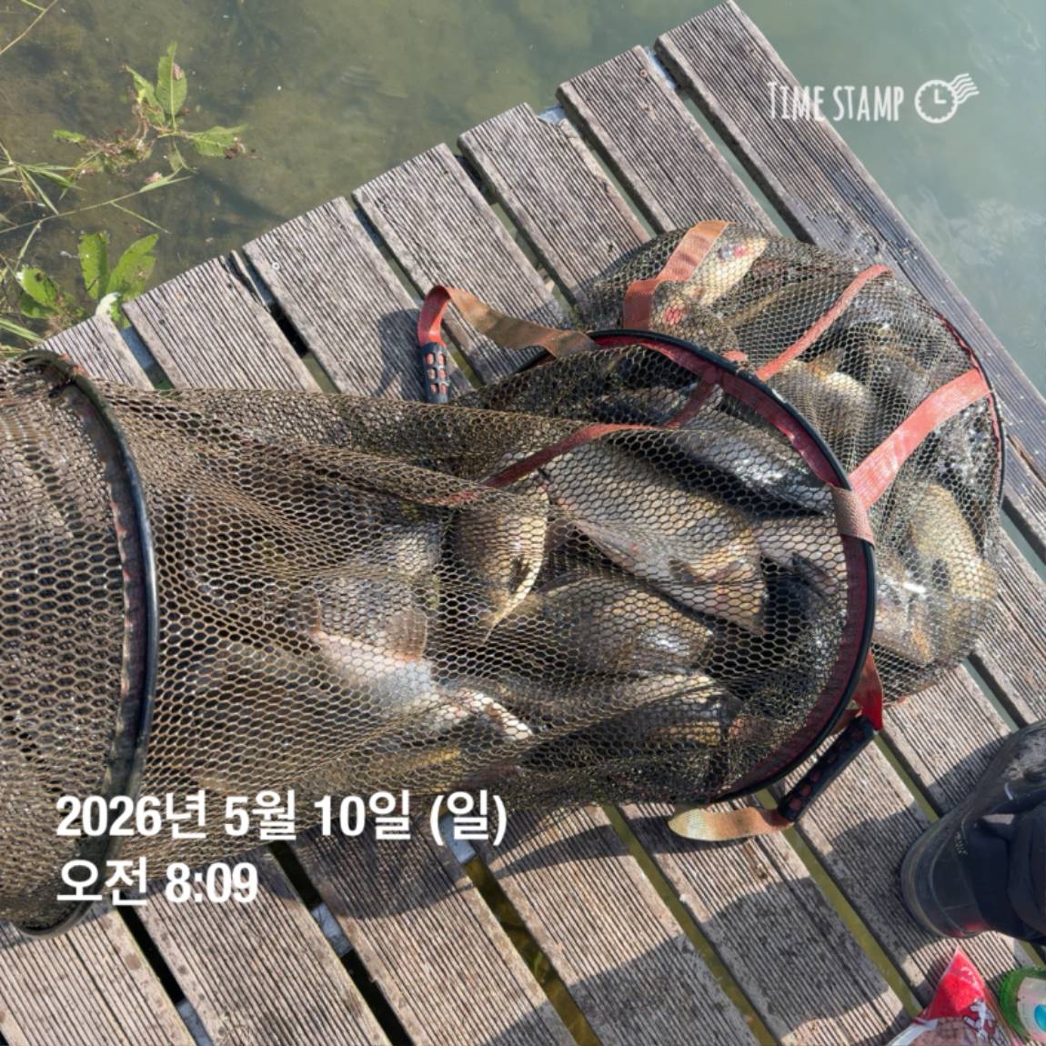 KakaoTalk_20260511_081626449_12.jpg