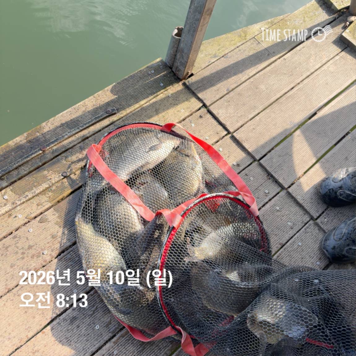 KakaoTalk_20260511_081626449_14.jpg