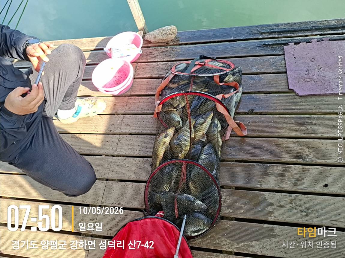 KakaoTalk_20260511_081626449_16.jpg