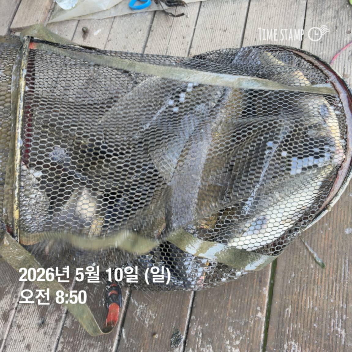 KakaoTalk_20260511_081626449_18.jpg
