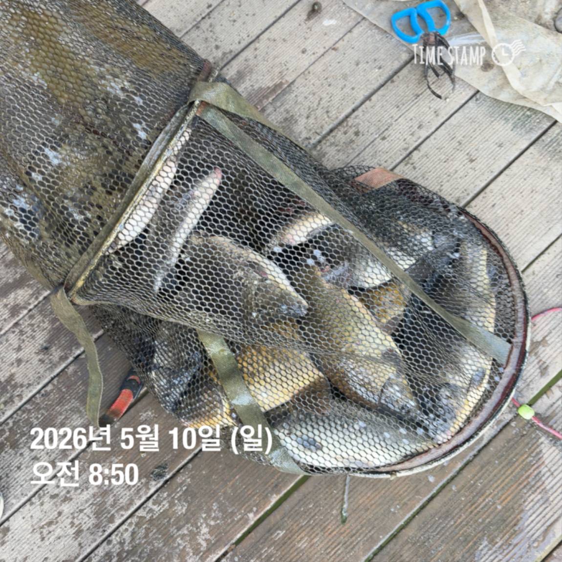 KakaoTalk_20260511_081626449_20.jpg