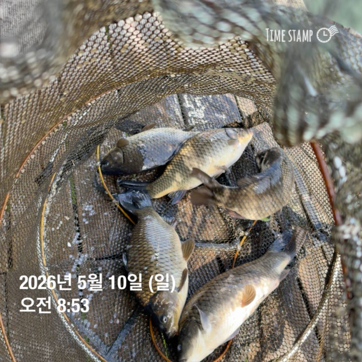 KakaoTalk_20260511_081626449_22.jpg