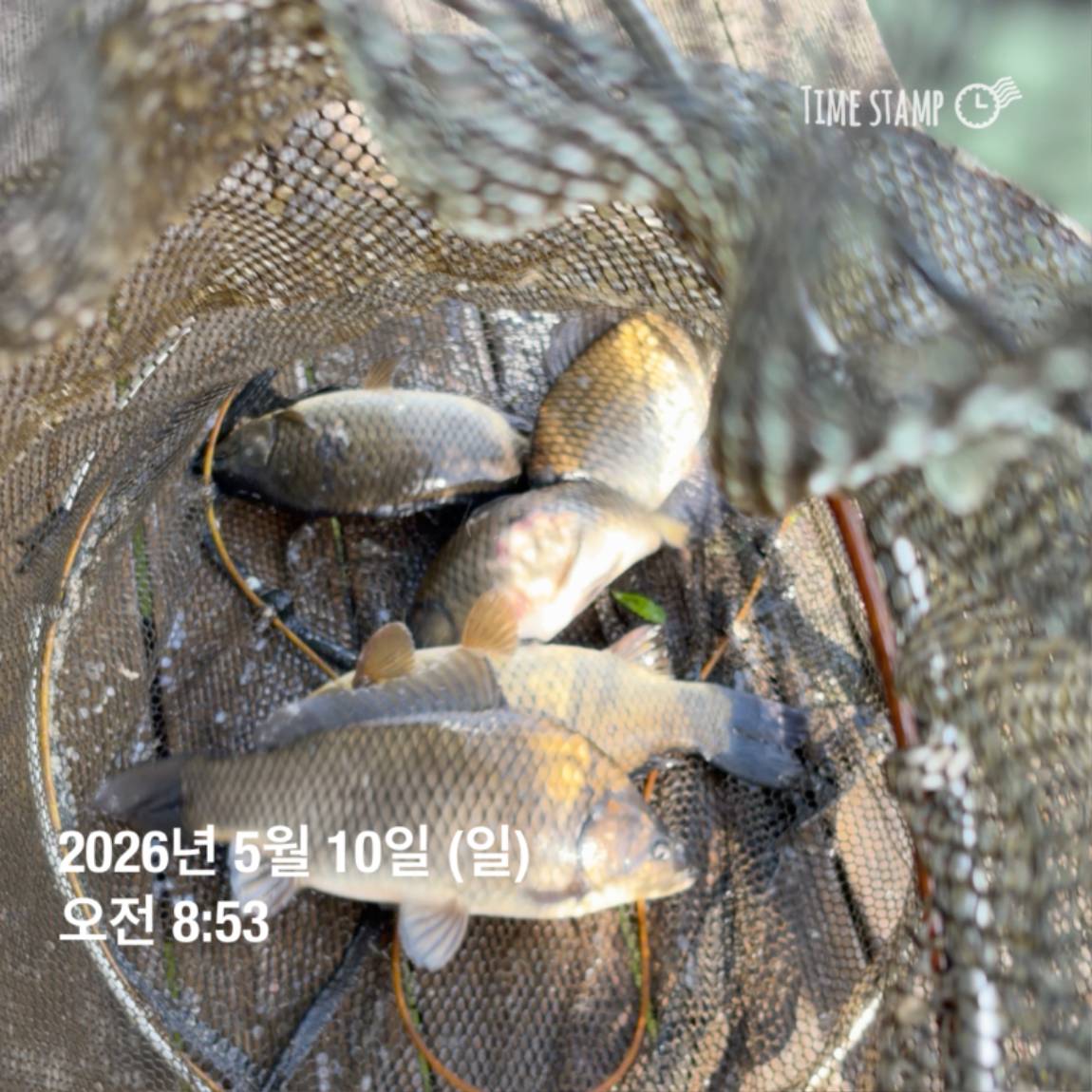 KakaoTalk_20260511_081626449_21.jpg