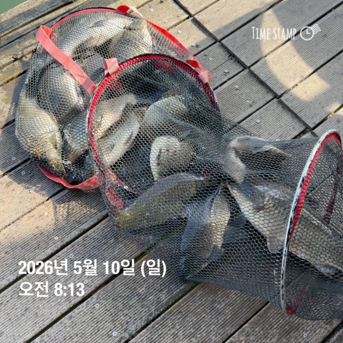 KakaoTalk_20260511_081626449_23.jpg