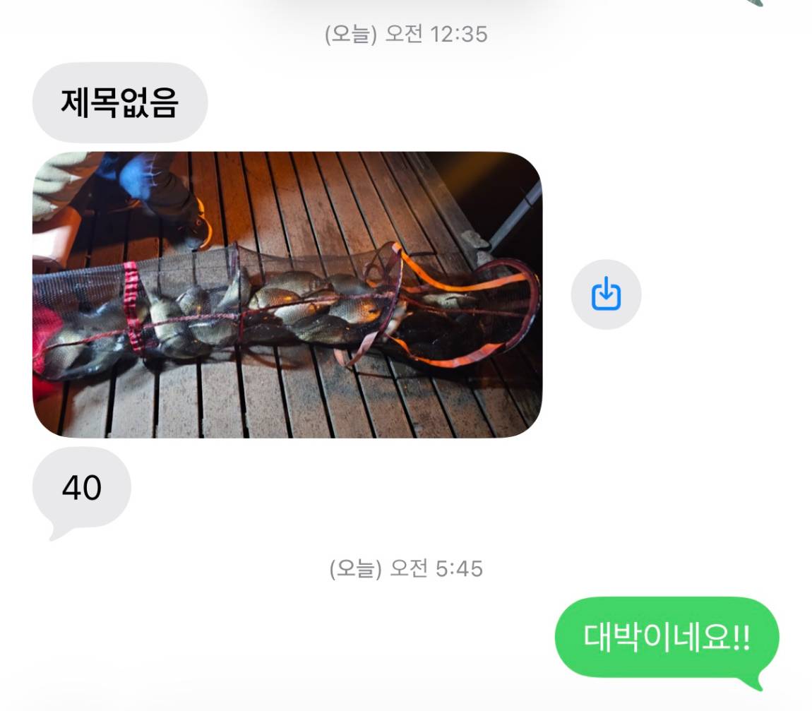 KakaoTalk_20260511_081631430.jpg