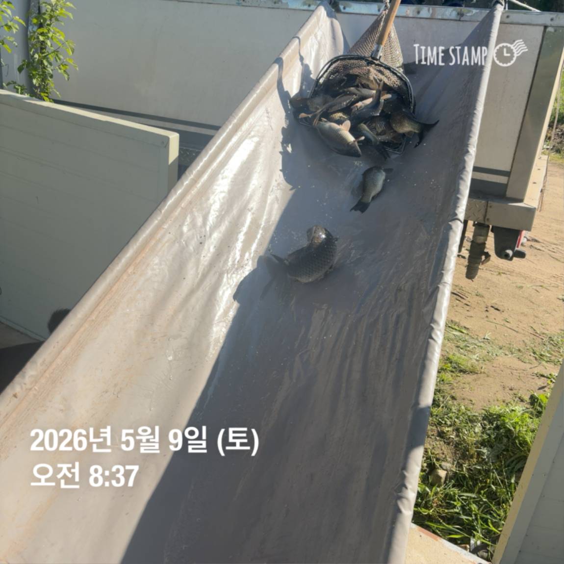 KakaoTalk_20260511_081631430_04.jpg