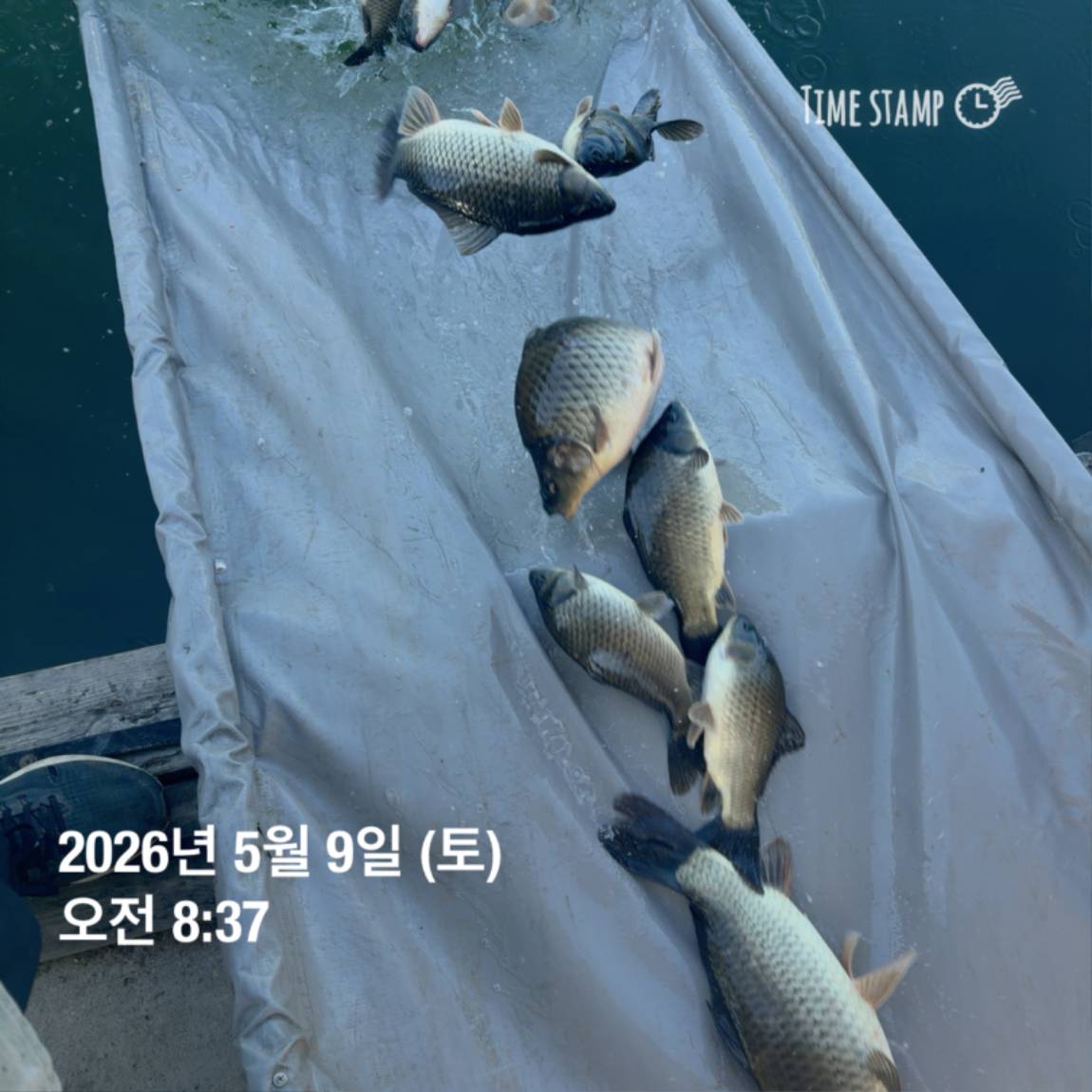 KakaoTalk_20260511_081631430_07.jpg