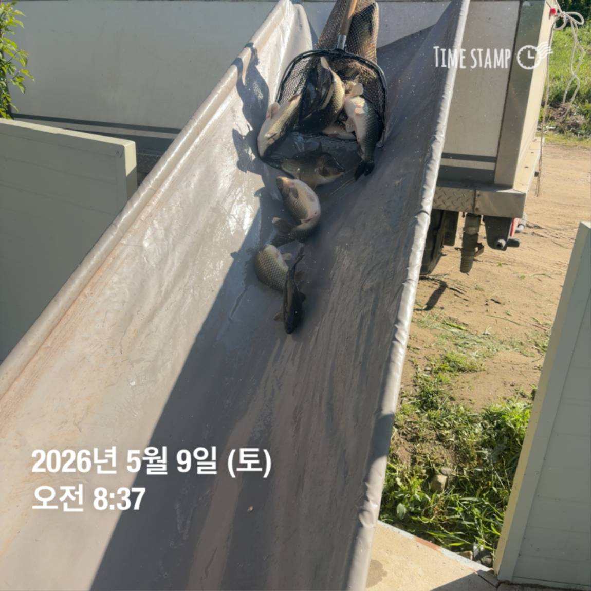 KakaoTalk_20260511_081631430_09.jpg