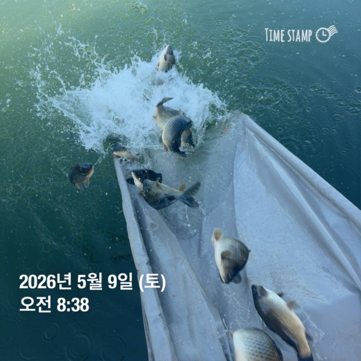KakaoTalk_20260511_081631430_10.jpg