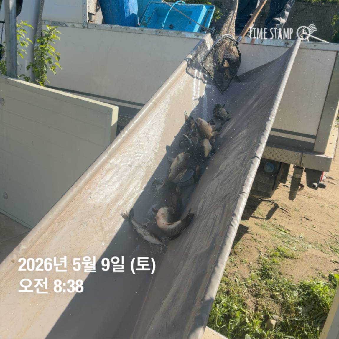 KakaoTalk_20260511_081631430_14.jpg