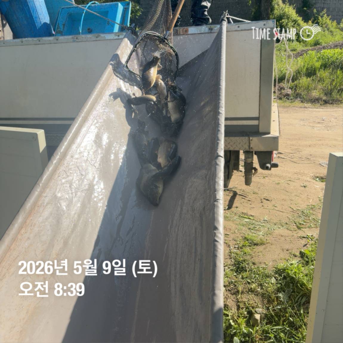 KakaoTalk_20260511_081631430_18.jpg