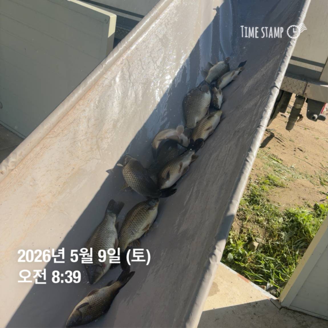 KakaoTalk_20260511_081631430_20.jpg
