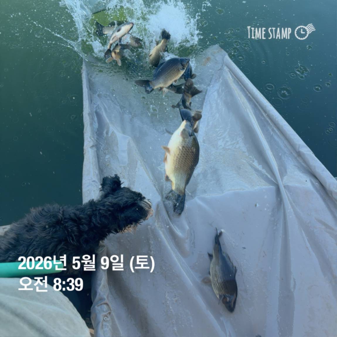 KakaoTalk_20260511_081631430_19.jpg