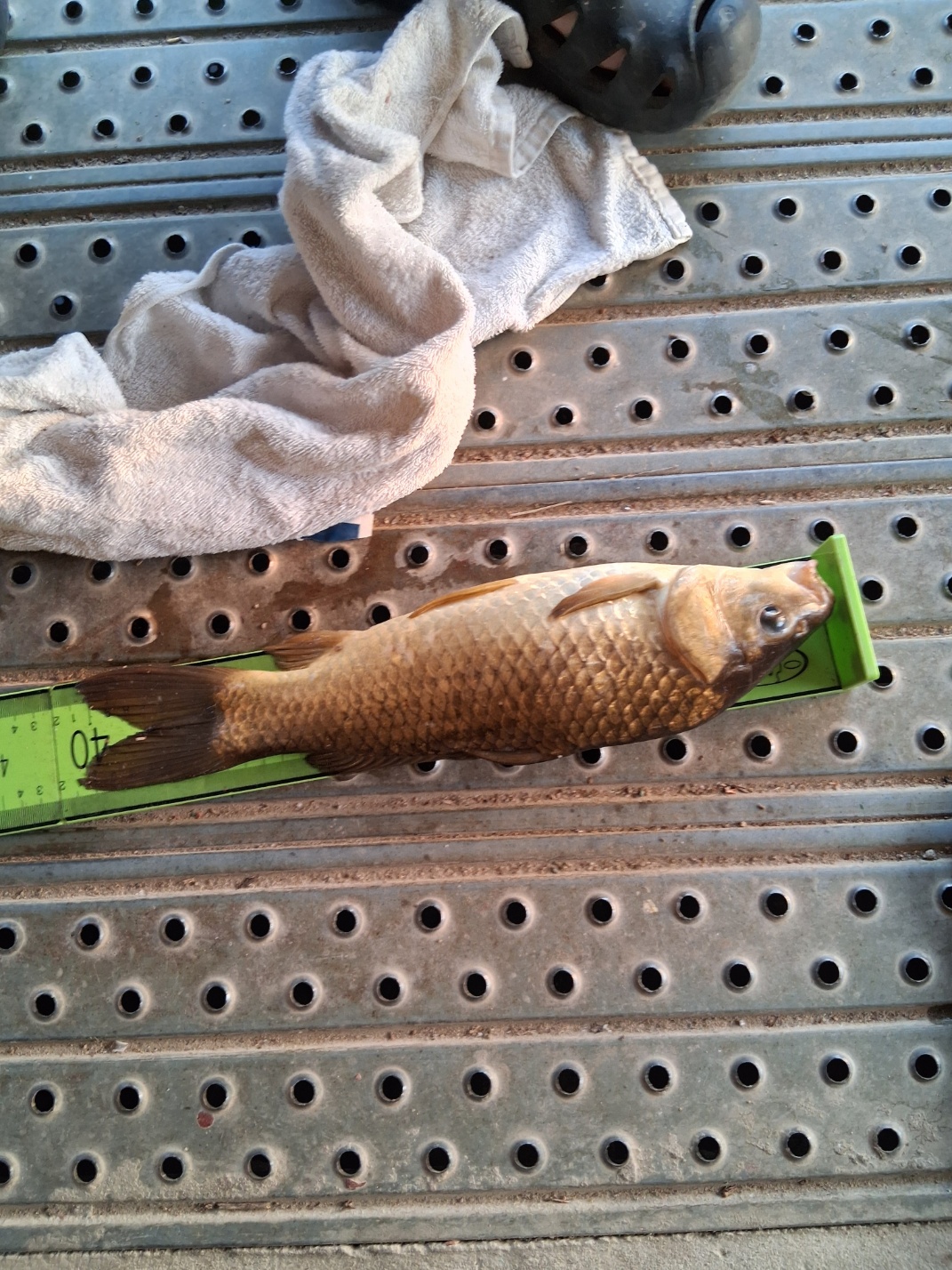 KakaoTalk_20260509_185339401.jpg