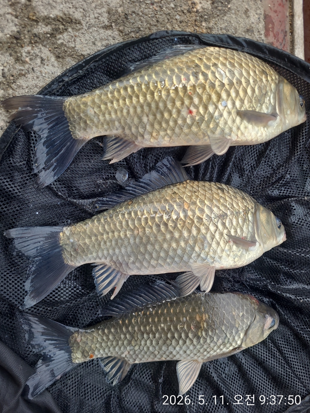 KakaoTalk_20260511_143115975_01.jpg
