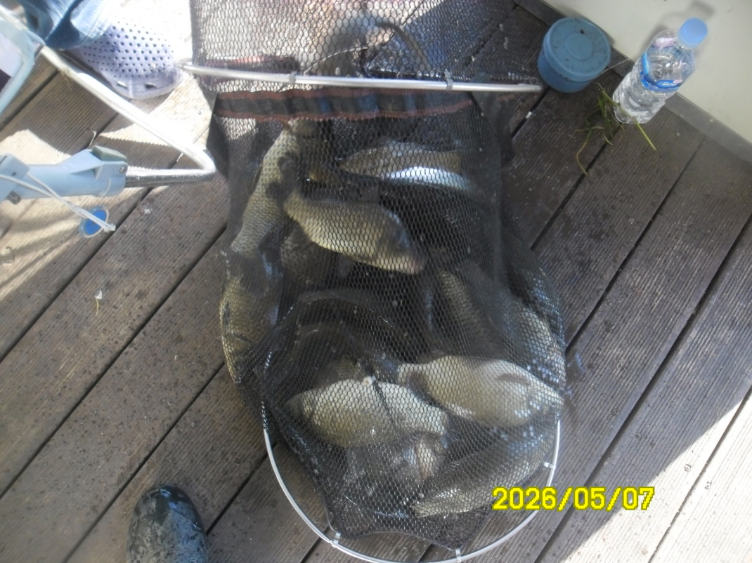 SAM_9529.JPG
