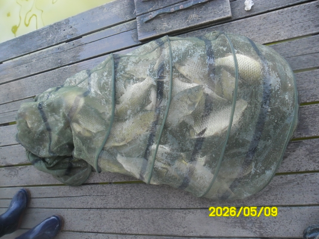 SAM_9541.JPG