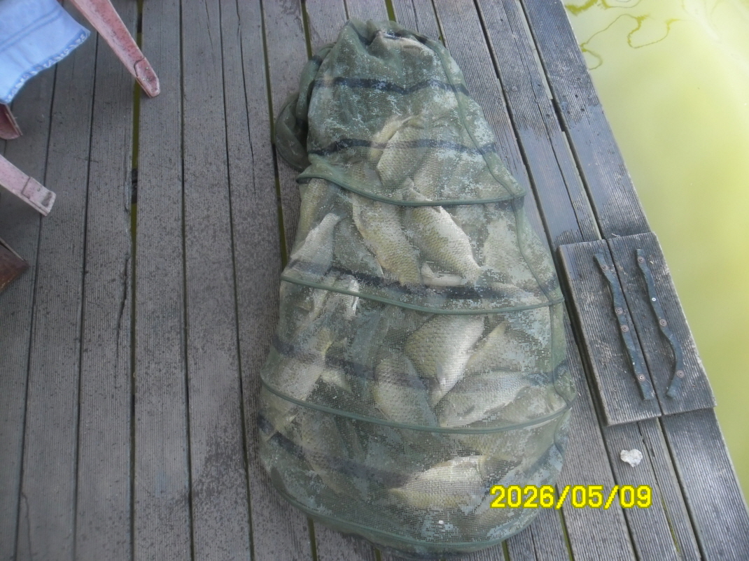 SAM_9540.JPG