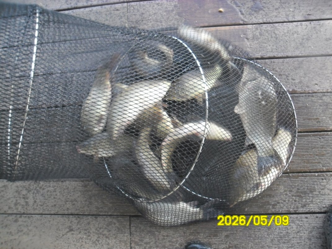 SAM_9549.JPG