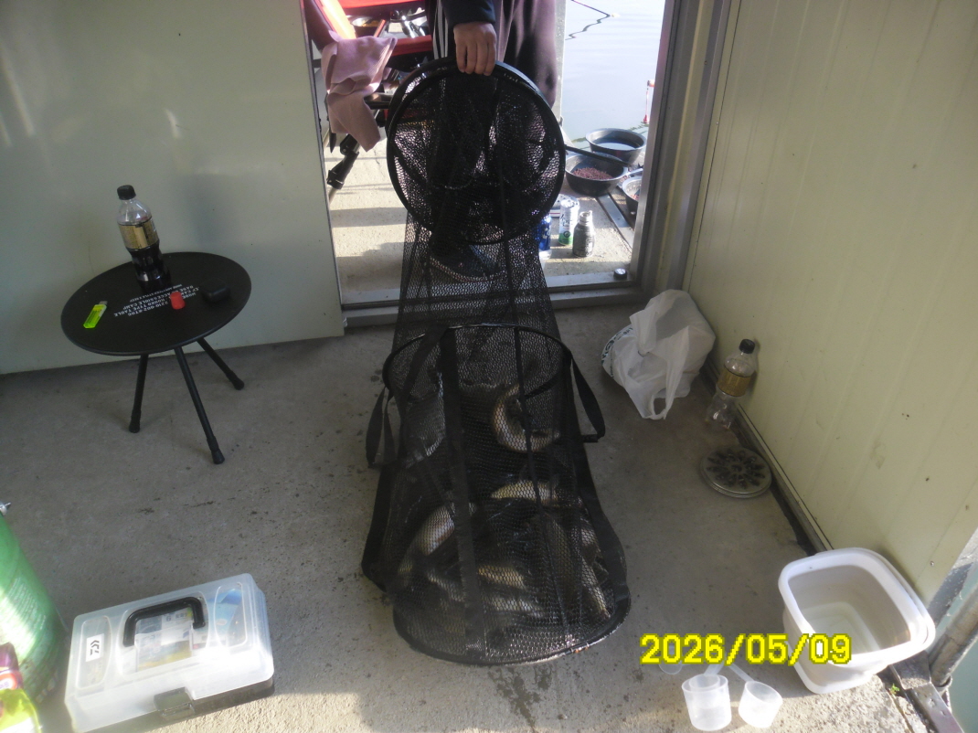 SAM_9554.JPG