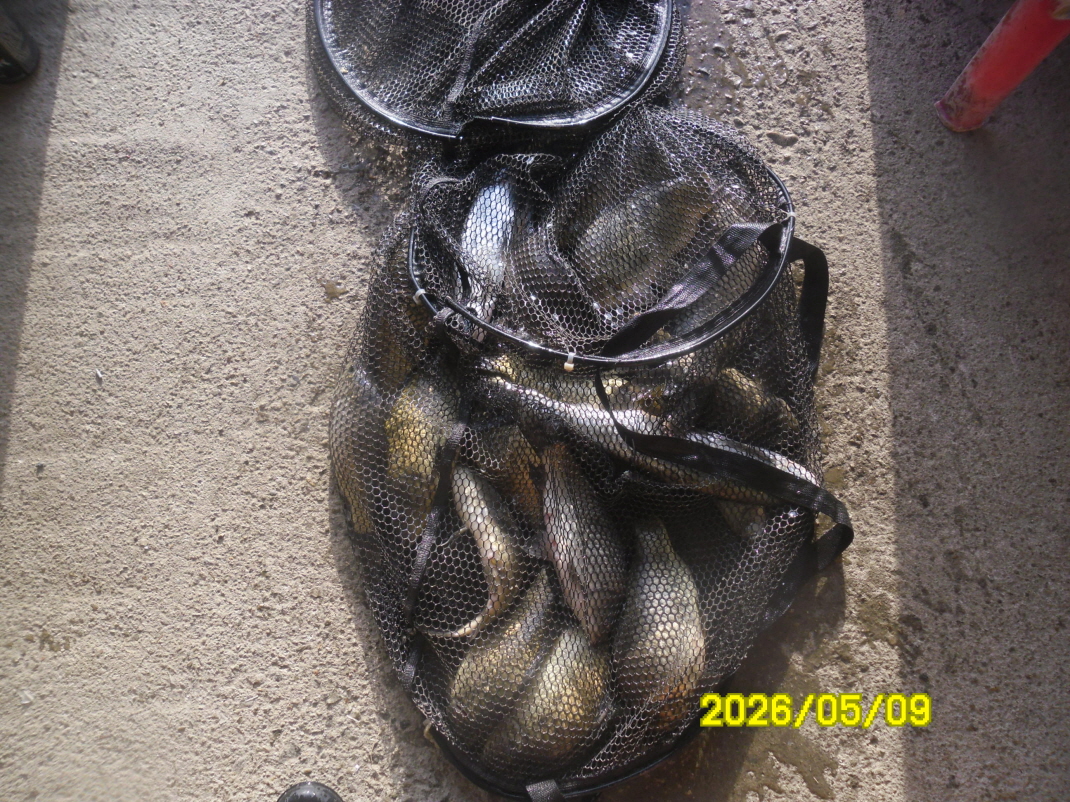 SAM_9574.JPG