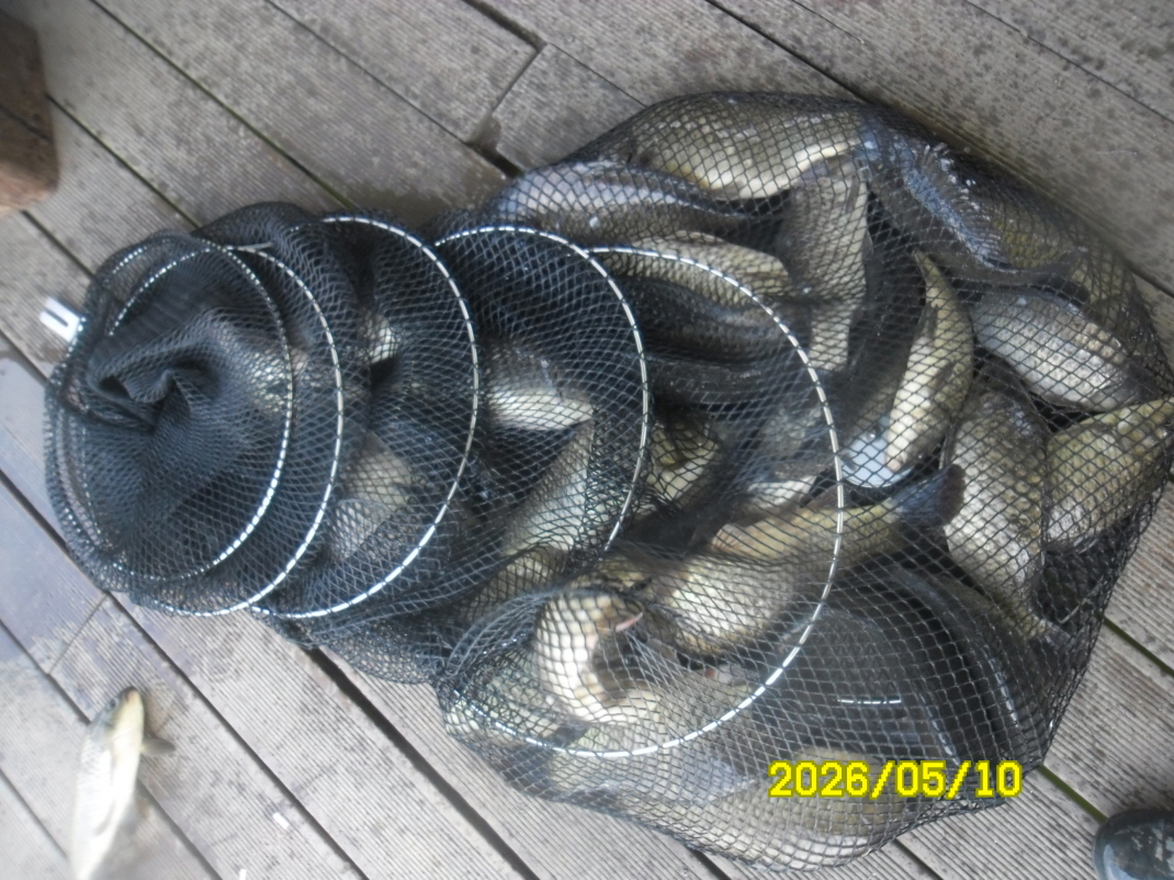 SAM_9608.JPG