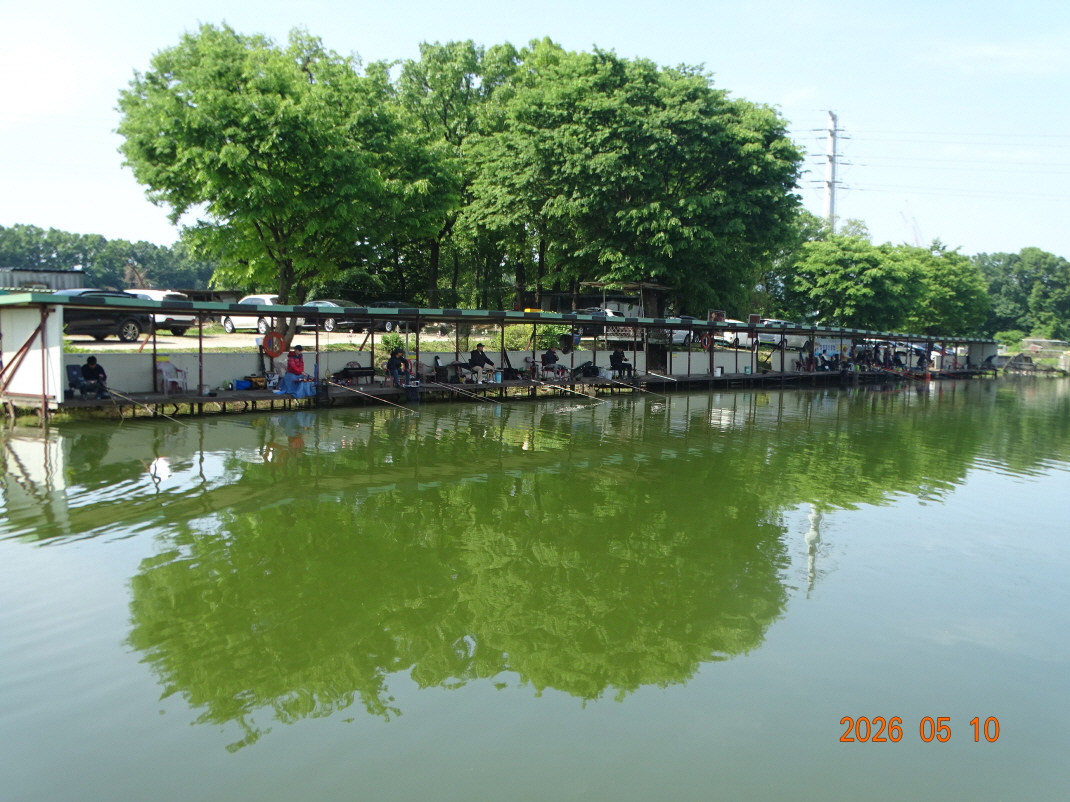 DSC03303.JPG