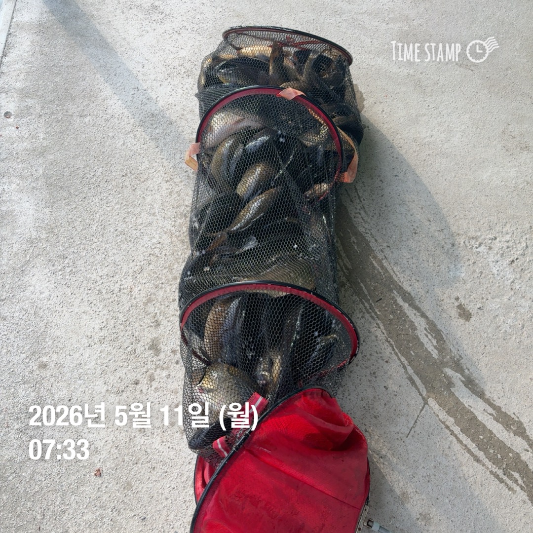 KakaoTalk_20260512_093146565_17.jpg
