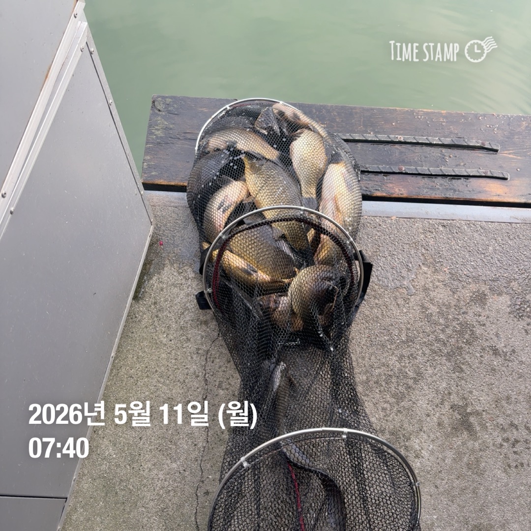 KakaoTalk_20260512_093146565_18.jpg