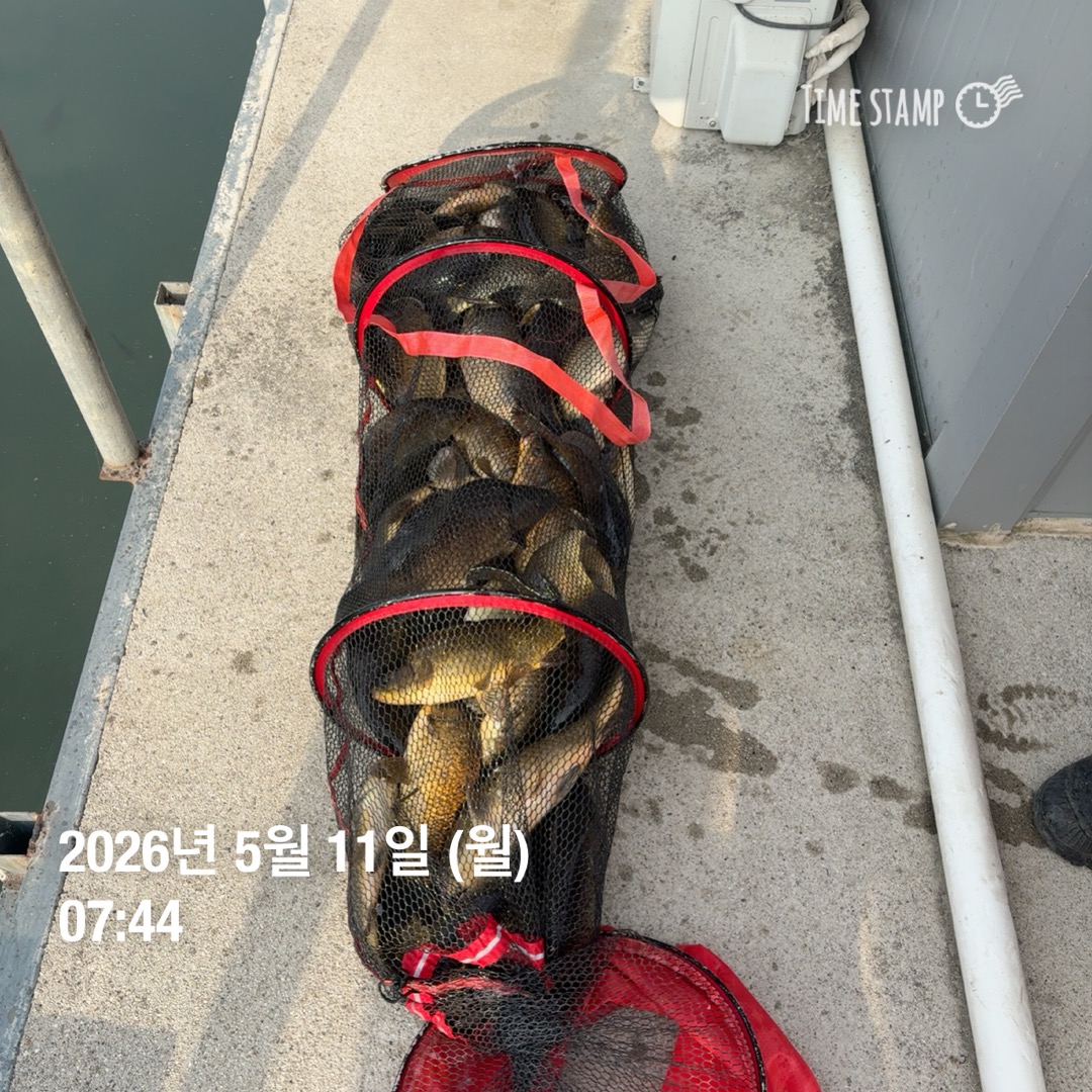 KakaoTalk_20260512_093146565_19.jpg