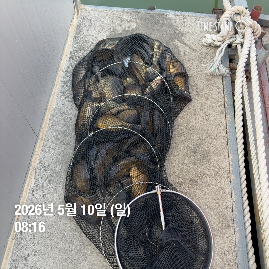 KakaoTalk_20260512_093146565_16.jpg