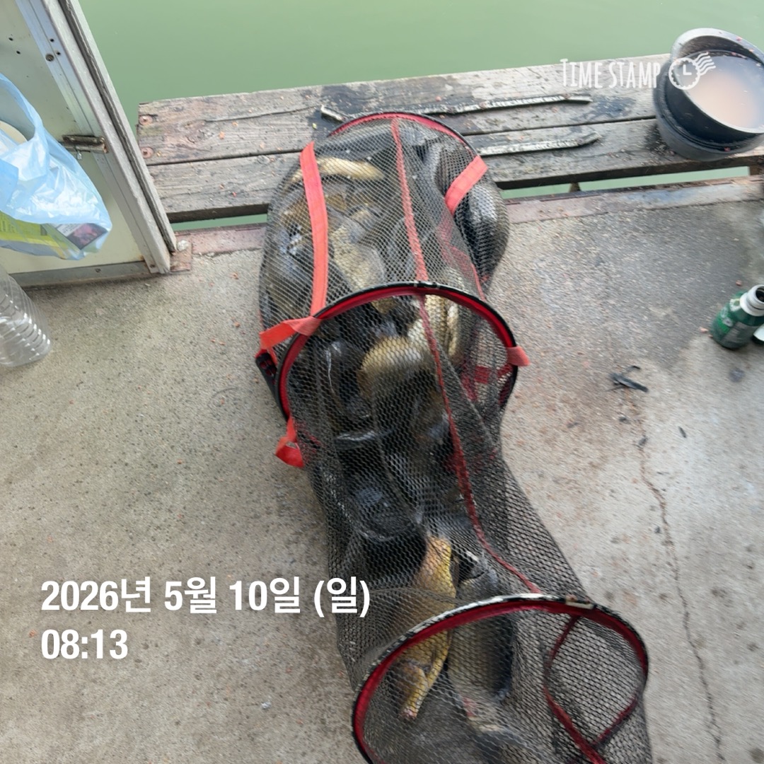 KakaoTalk_20260512_093146565_15.jpg