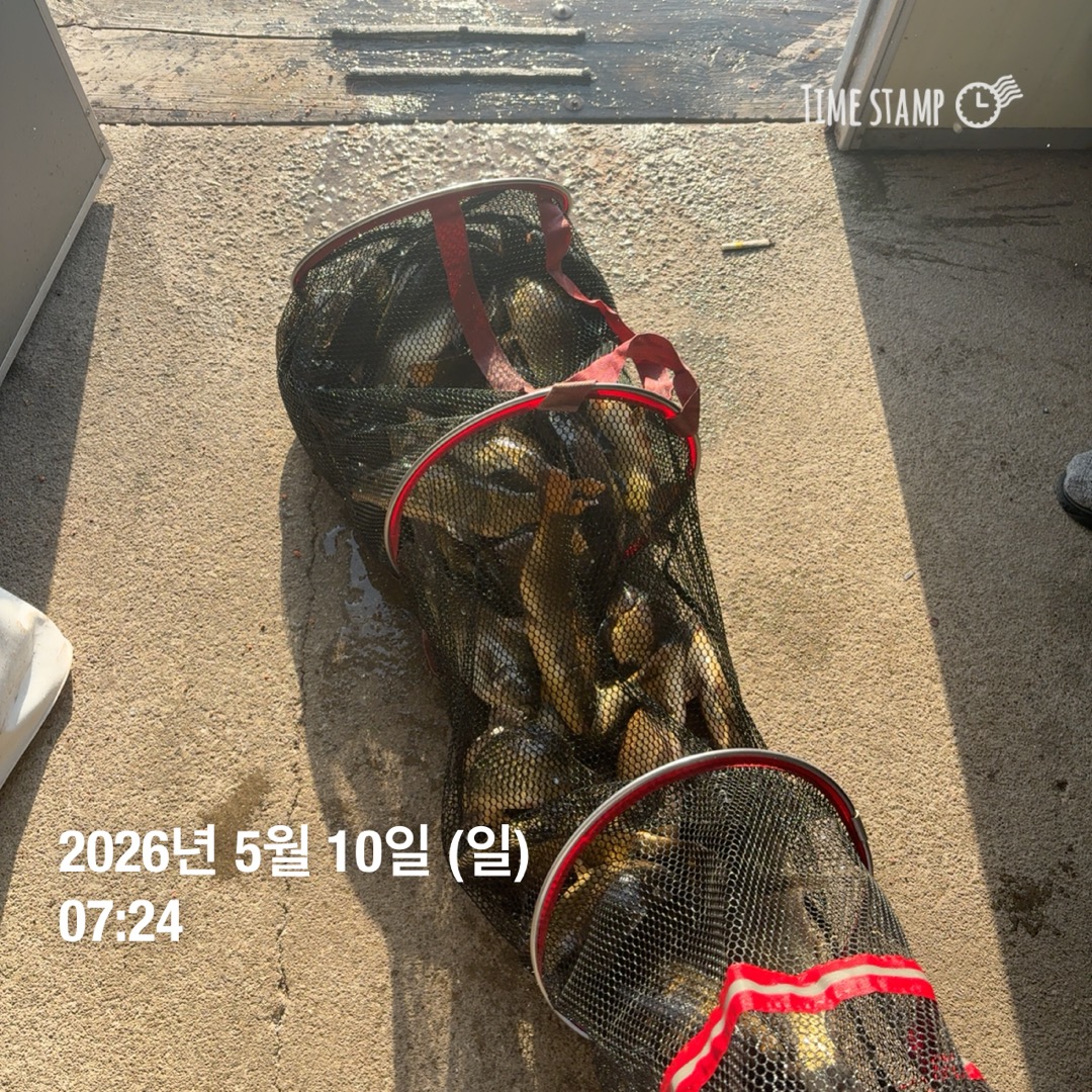 KakaoTalk_20260512_093146565_11.jpg