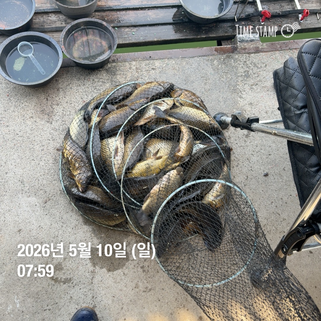 KakaoTalk_20260512_093146565_12.jpg