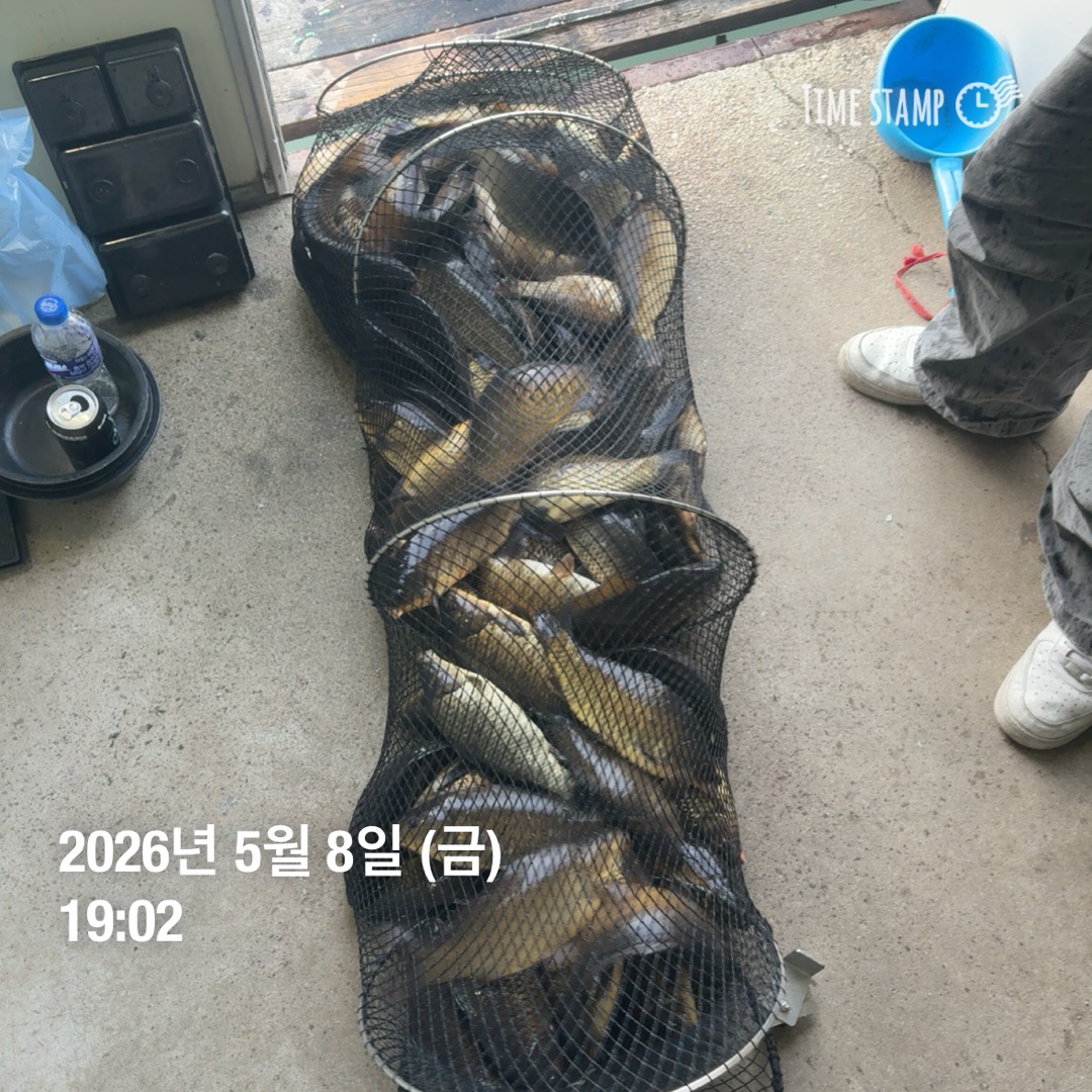 KakaoTalk_20260512_093146565_04.jpg