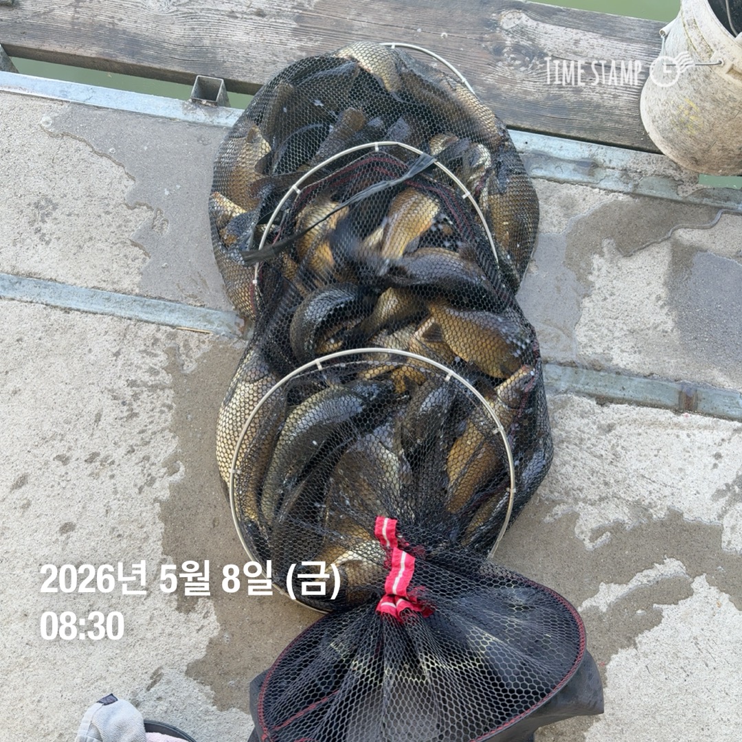 KakaoTalk_20260512_093146565_03.jpg