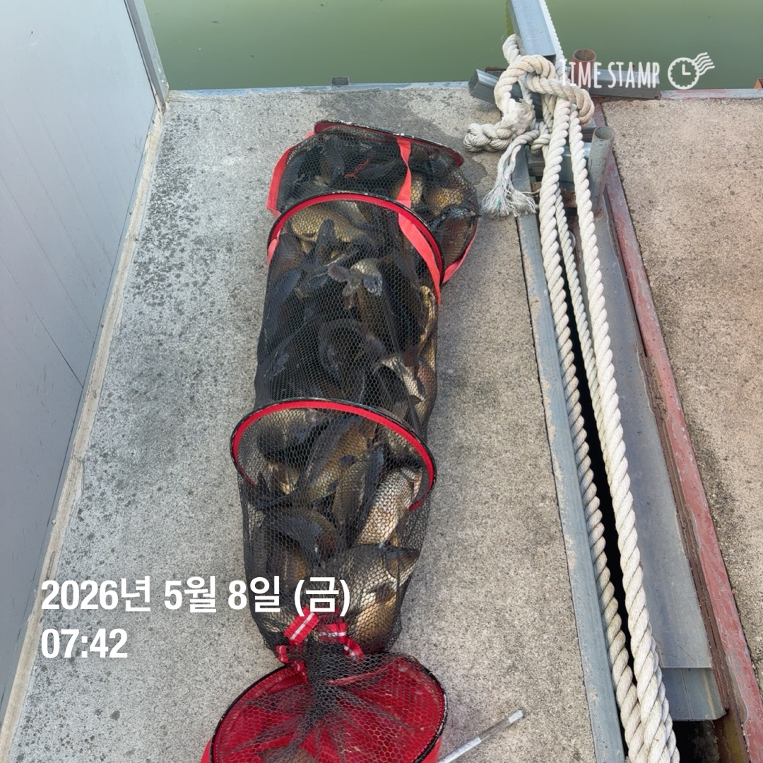 KakaoTalk_20260512_093146565_02.jpg