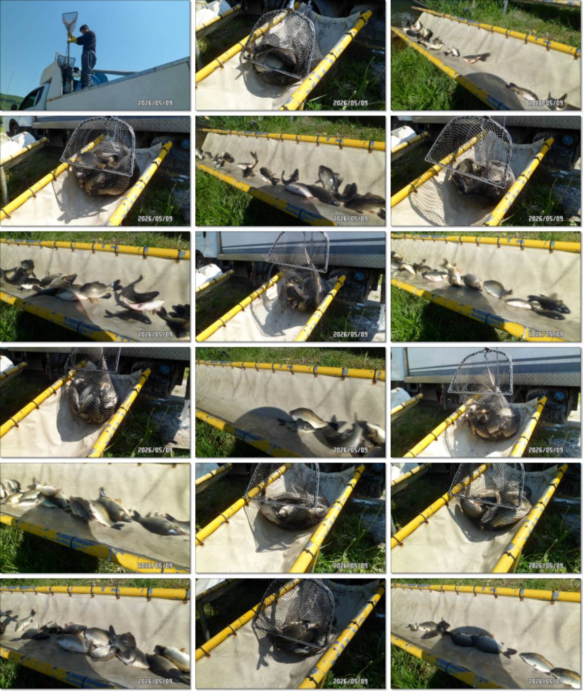 SAM_4627-tile.jpg