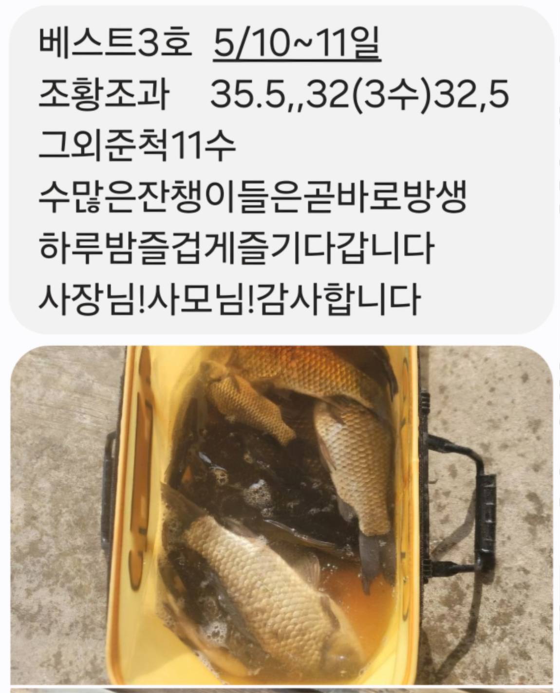 Screenshot_20260511_084609_Messages.jpg