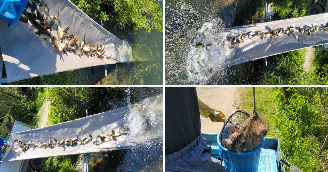 �׸�1.png