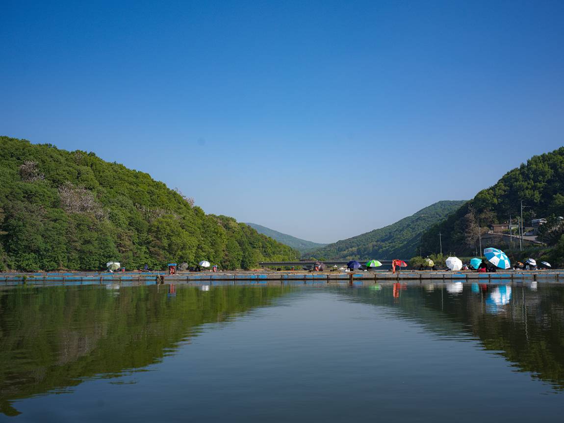 B0000499.JPG