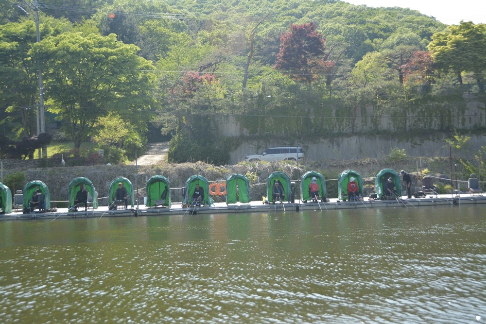 _7104086.JPG