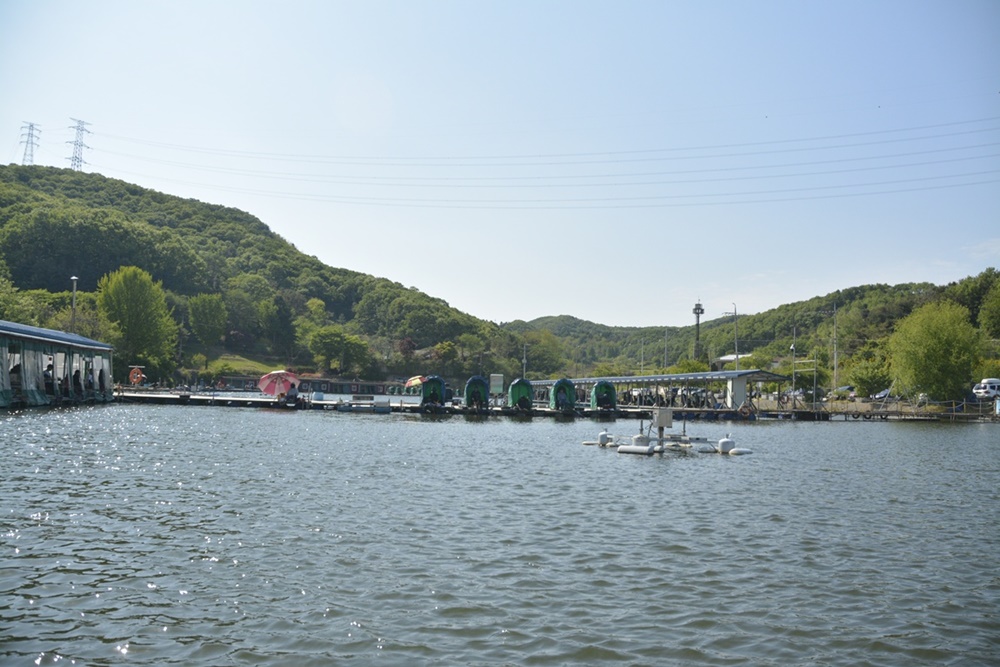 _7104097.JPG