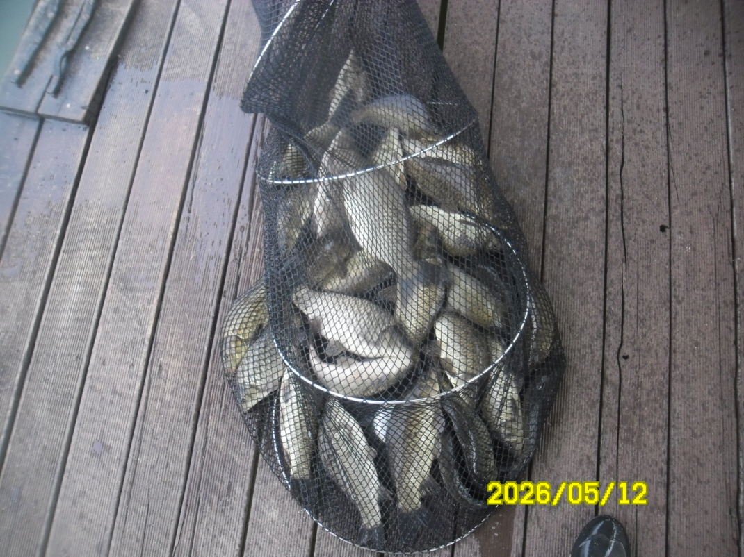 SAM_9703.JPG