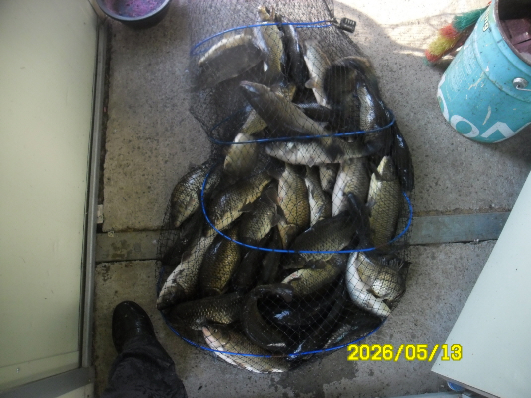 SAM_9709.JPG